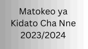 PDF FILE Matokeo Ya Kidato Cha Nne 2023