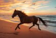 horse riding on the beach